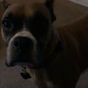 Meet your Posher, Traci